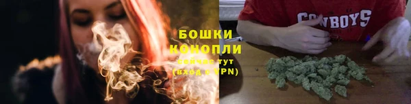бошки Верея