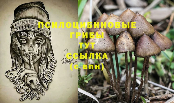 таблы Богородицк