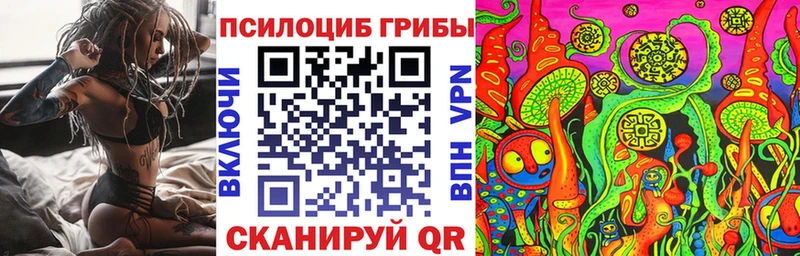 Галлюциногенные грибы Psilocybine cubensis цены Новосокольники